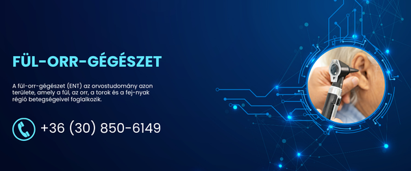 Fülorrgégészet